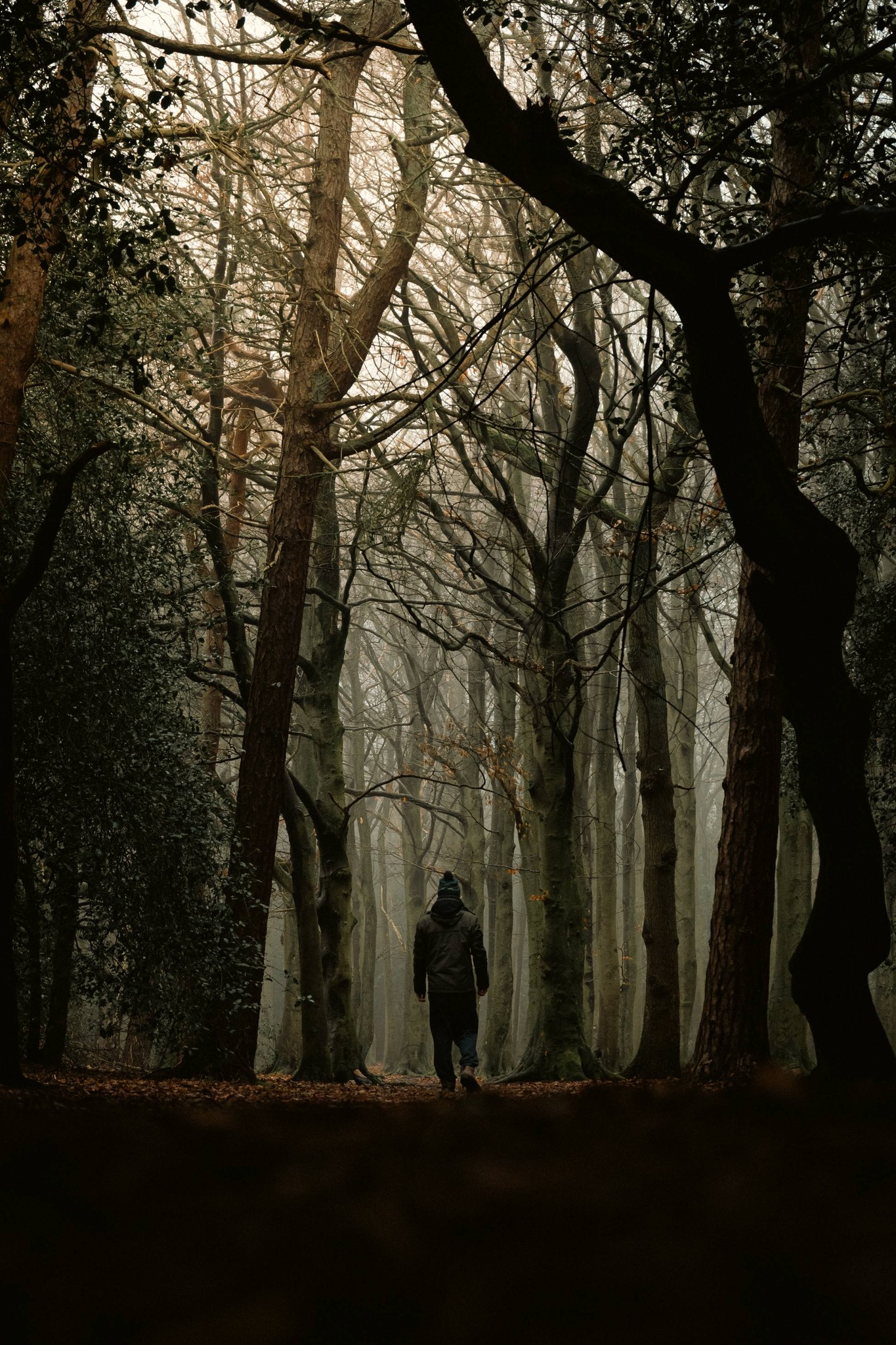 Sutton park, Birmingham UK | Facebook