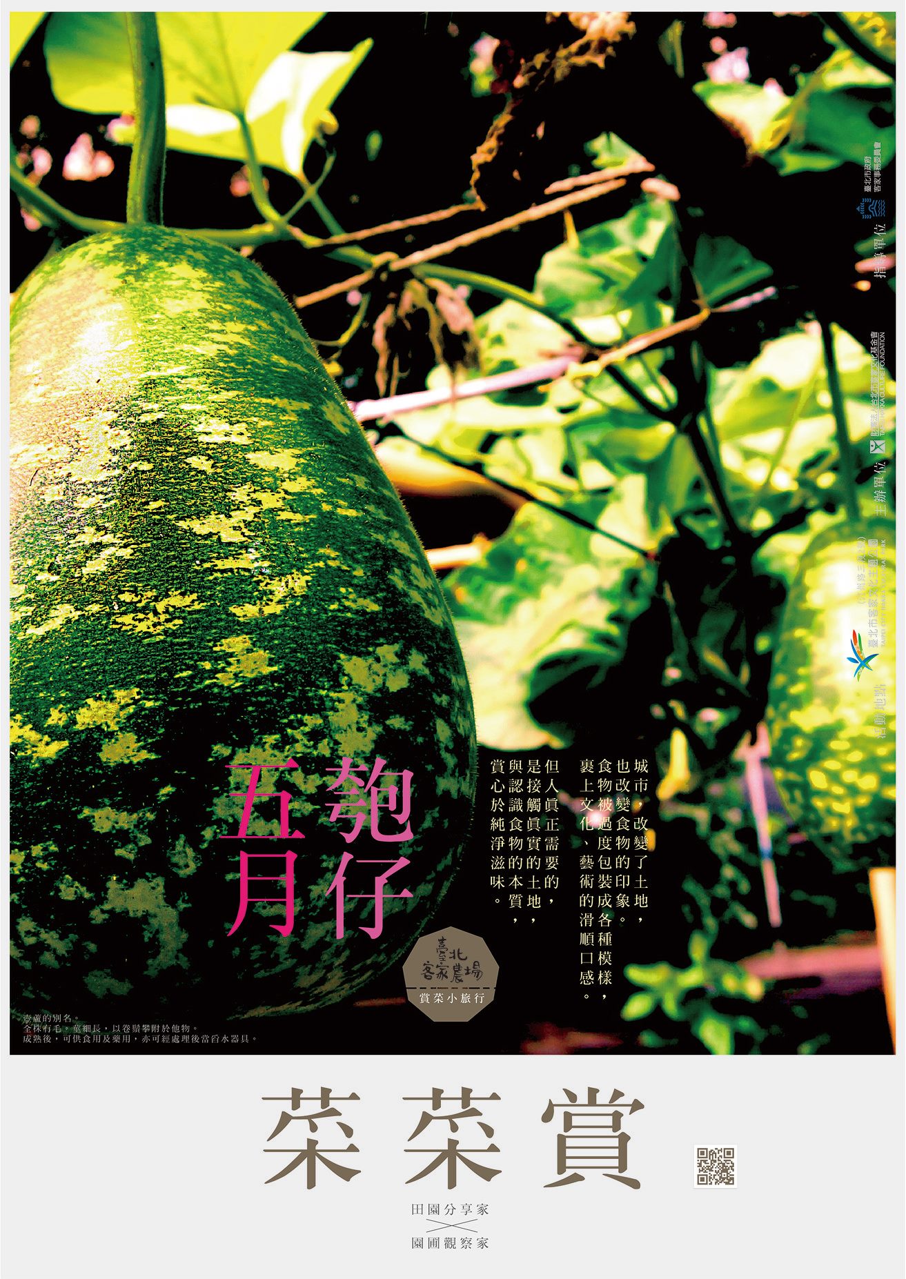 臺北客家農場 - 五月節....有分陽曆或陰曆， 各國有不同的民俗與文化。 但對農夫來說， 就是匏瓜收成的時候啦！... | Facebook
