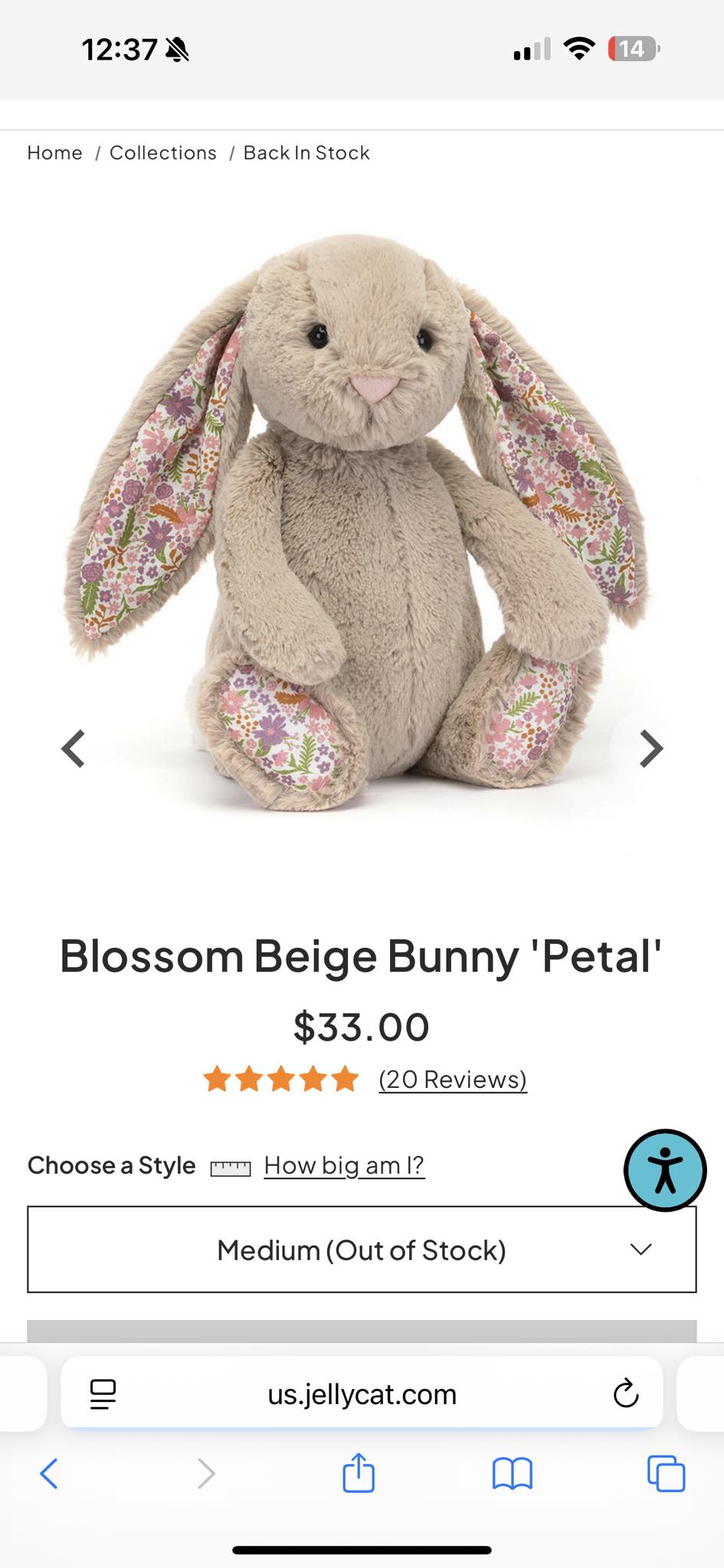 Where to find Jellycat blossom beige bunny petal?