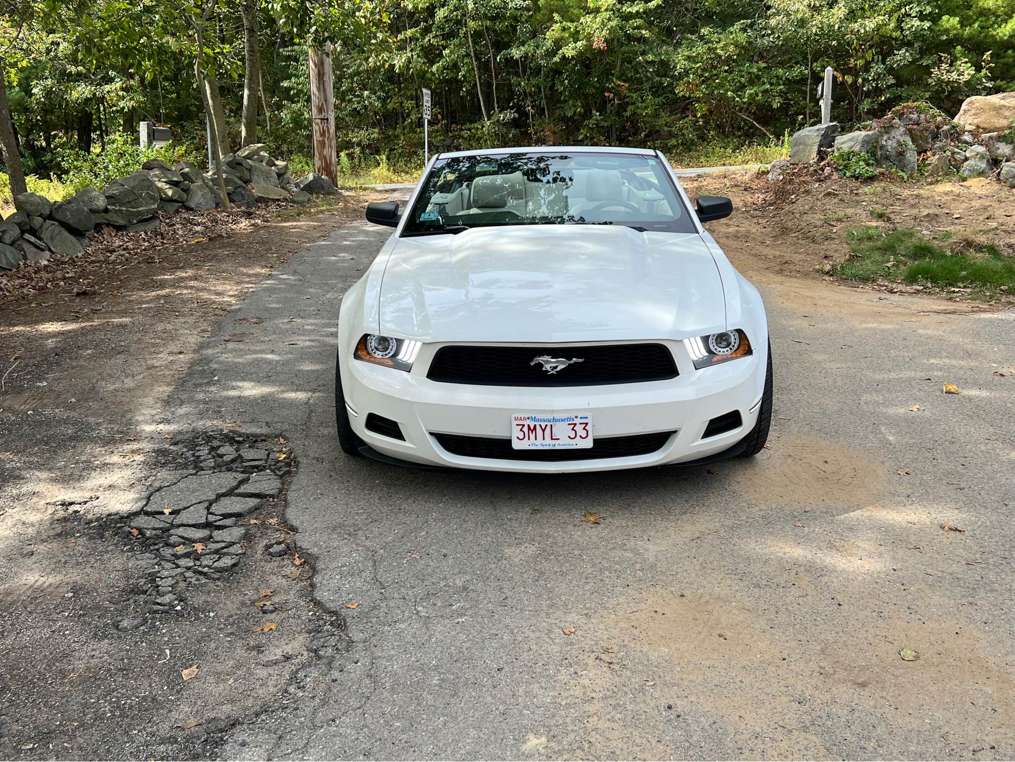 Sitemapcdatahttpsreininf Inetcom2010 Ford Mustang Premium