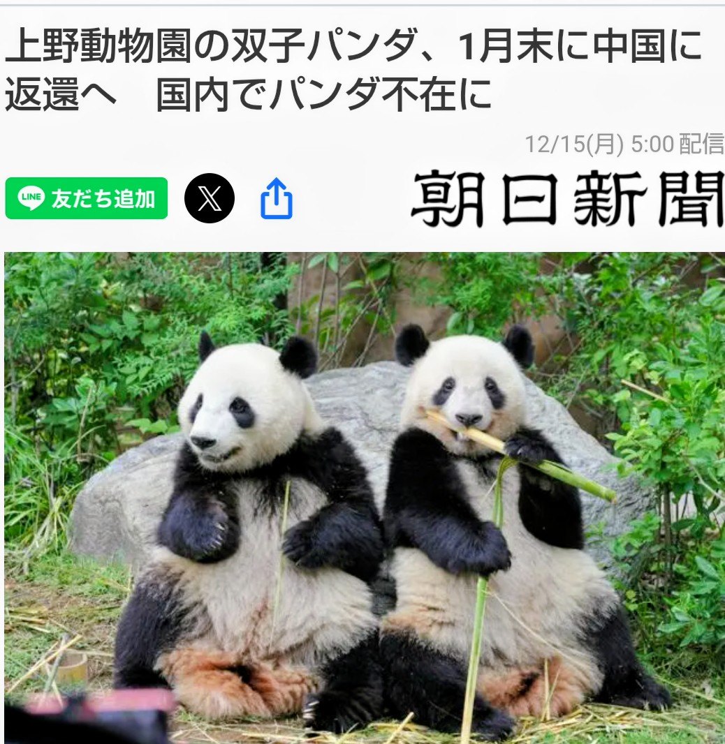 ついに日本からパンダ🐼ちゃんが居なくなる現実が、発表されました