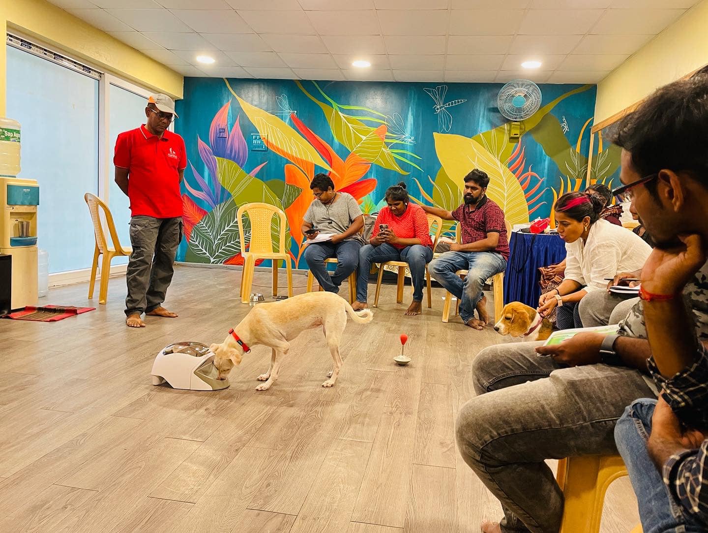 Our 1st day at Train Your Tails... - Travail Dog Training
