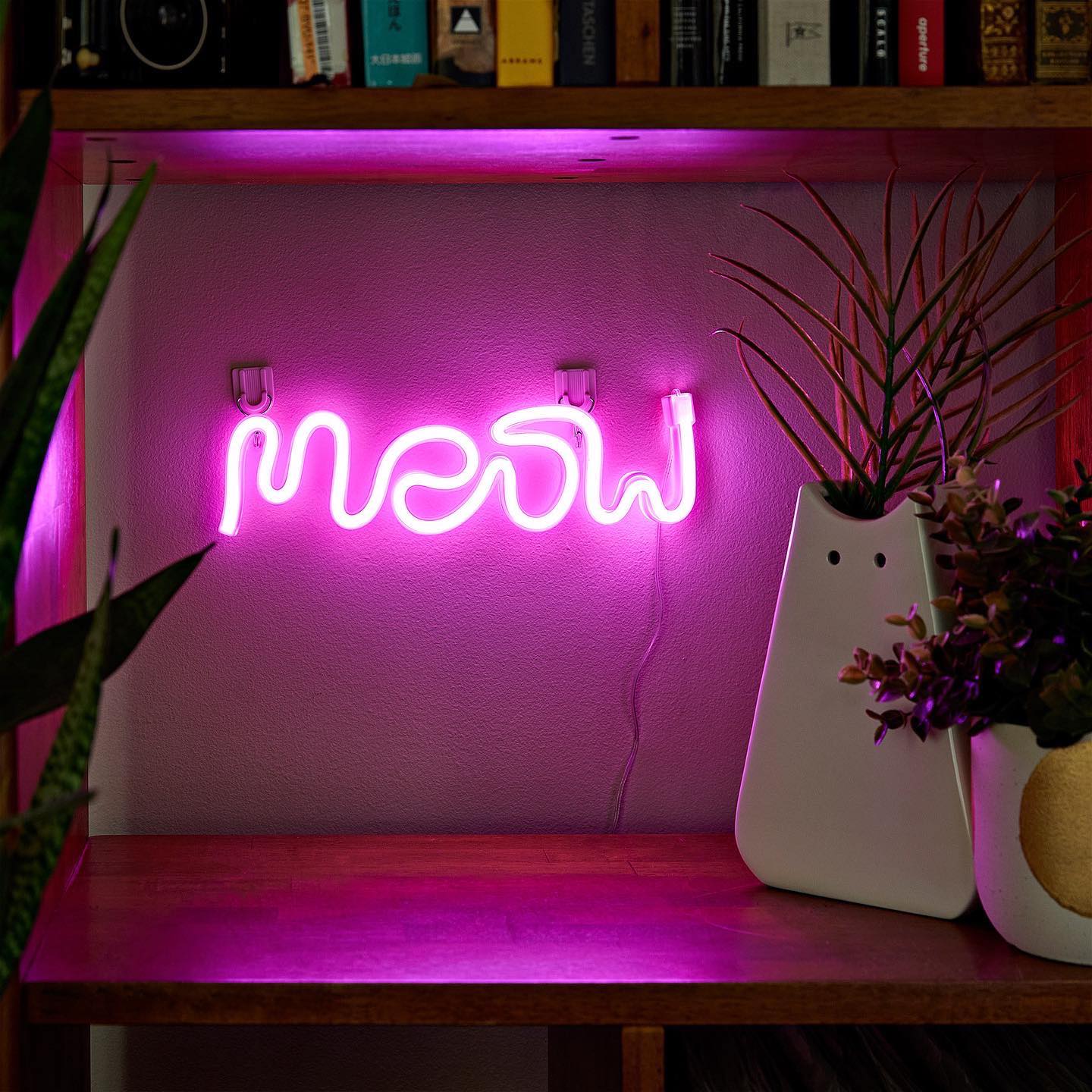 CatLadyBox - 💡🐱 The purrfect eye catcher! 🐱💡 Cats light up...