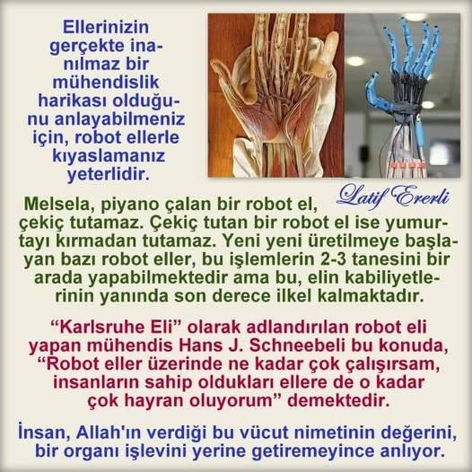 Kemal - Kâinatı mükemmel şekilde yaratan Rabbime şükürler olsun. Âmin.🤲 ...