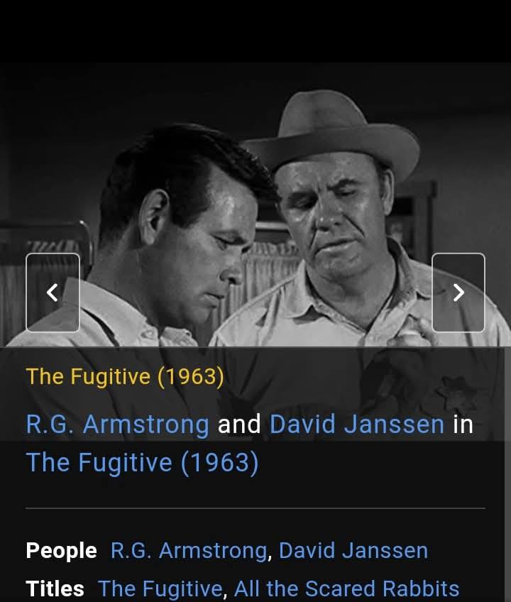 The Fugitive: The TV Series (1963-1967) | I love Fuge episodes with R.G ...