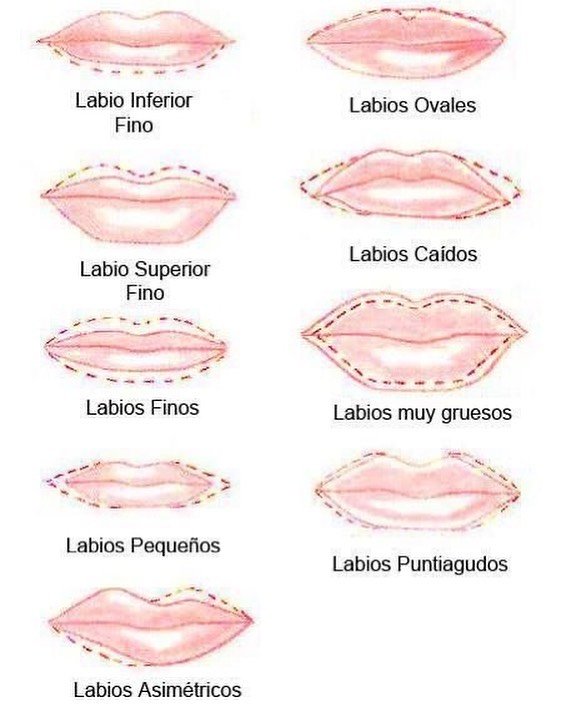 💋👄🫦Tipos de labios 💋👄🫦 Cuál es el... - Dra Joscielli Silva | Facebook