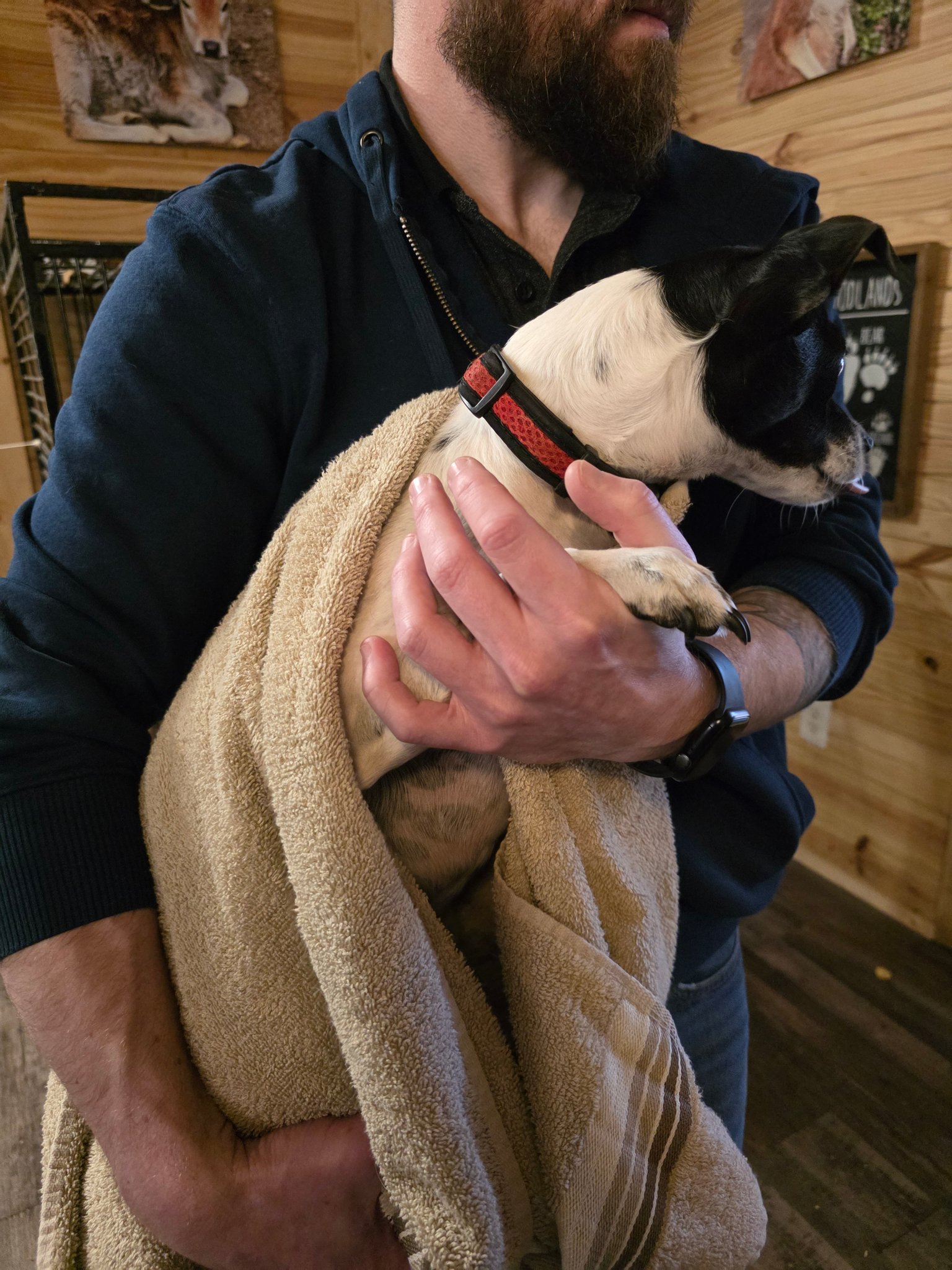 Found pet at Hochatown cabin