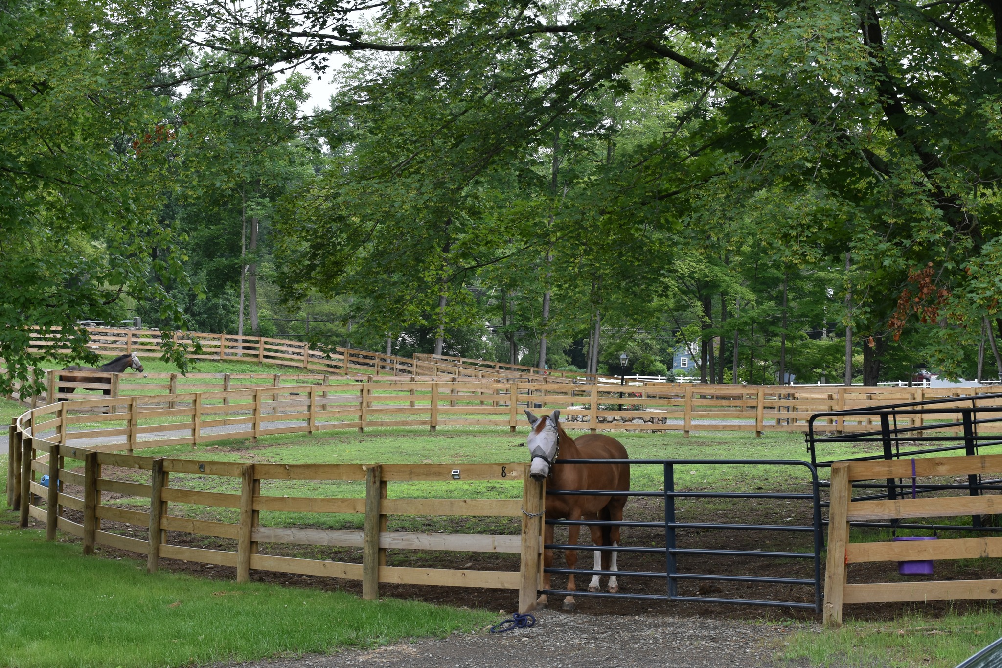 Marchant Farm | Redding CT