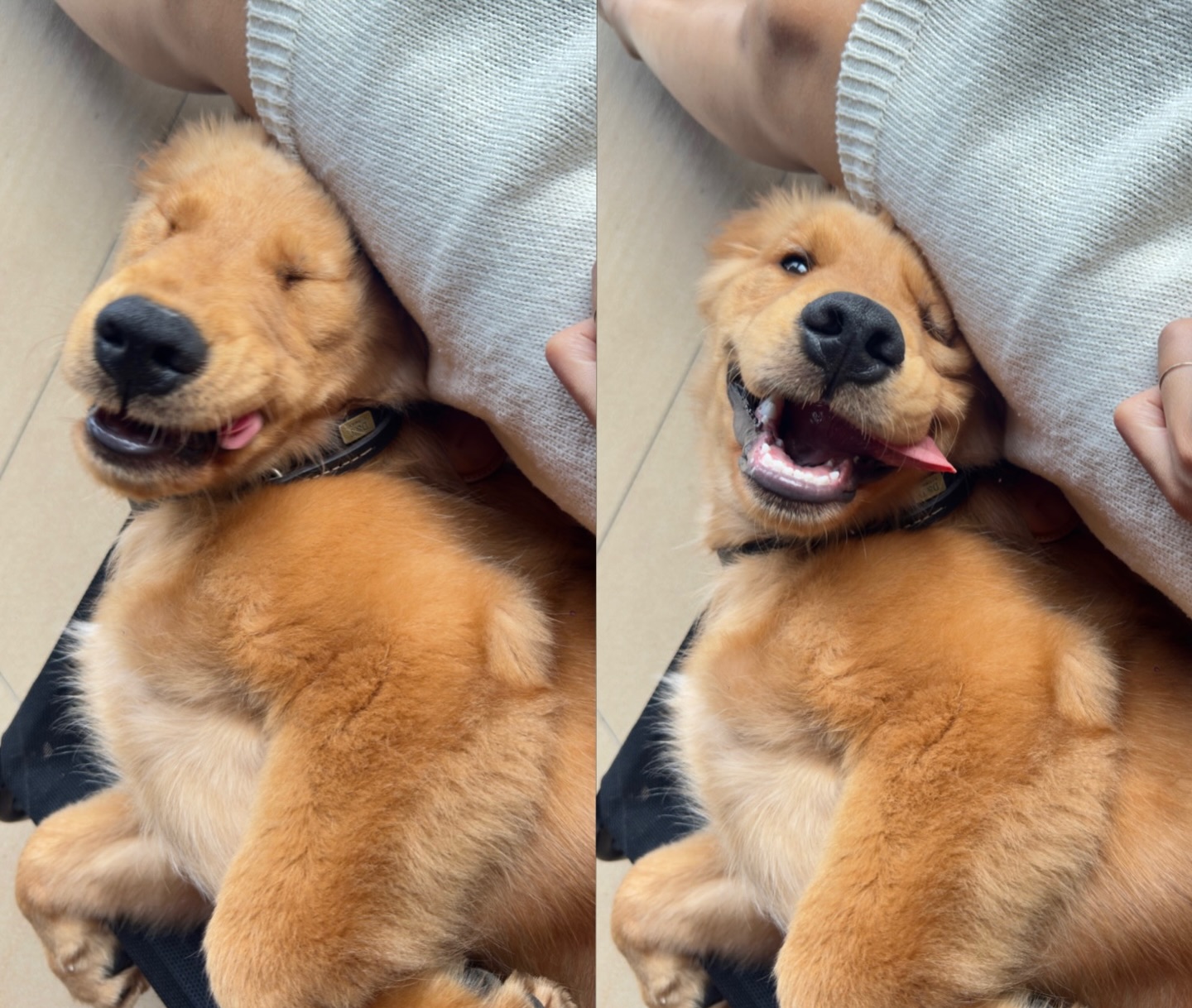 安柔