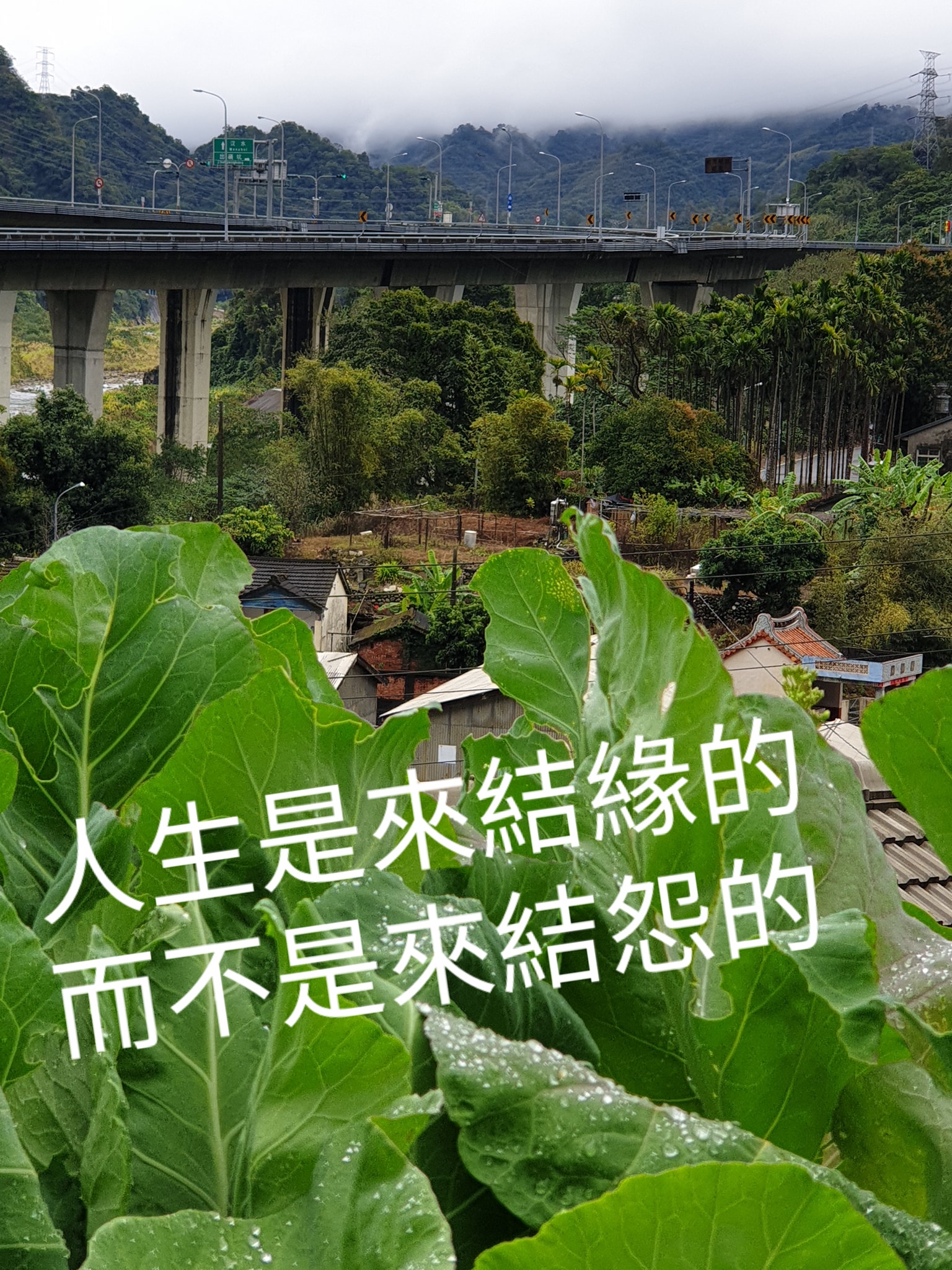 戴晨志 - 《要結緣，不要結怨》 《常低頭，才不會撞到頭》...