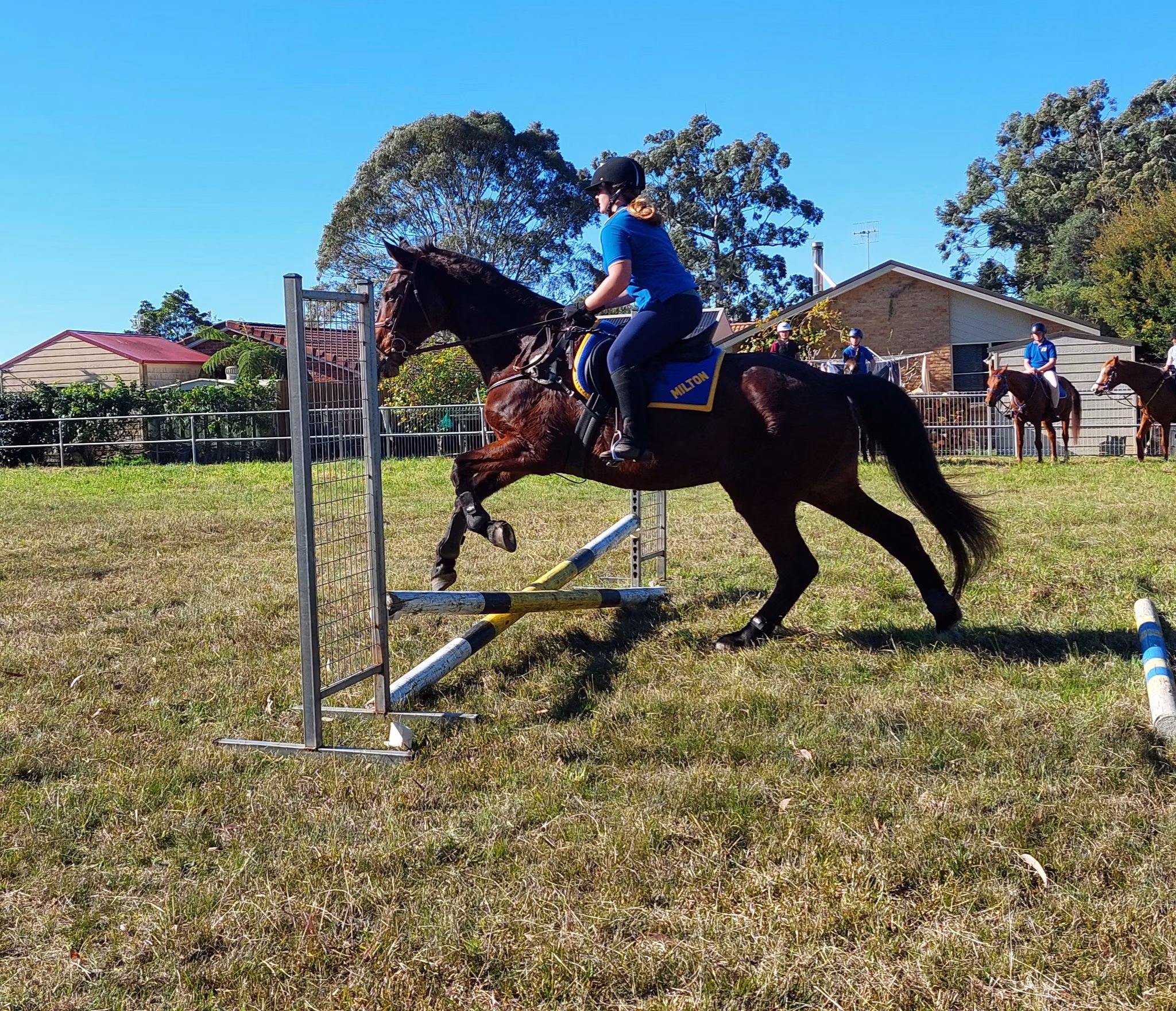 Milton Pony Club - Home