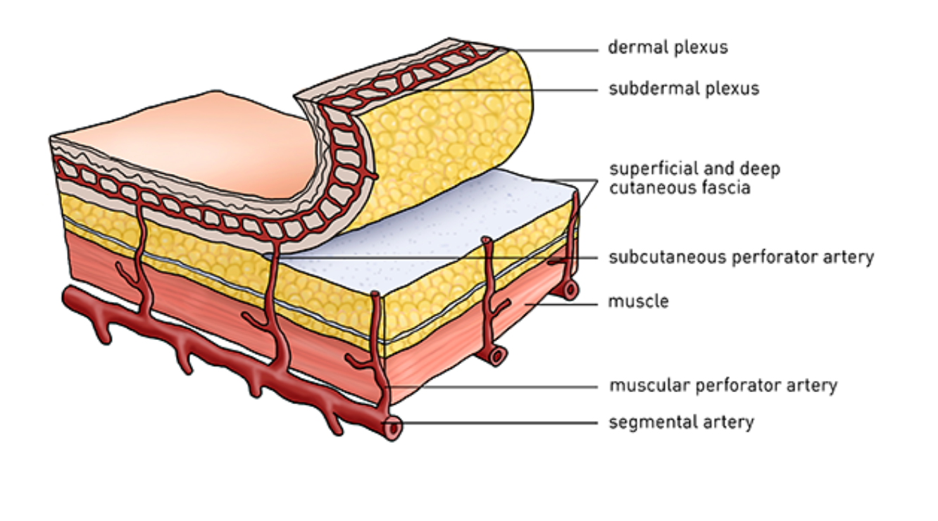 We would like to... - Incision Academy Middle East & Africa | Facebook