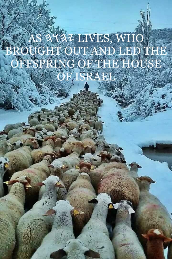 HEBREWS - ⚠️ WHAT IS FIRST, THE ARRIVAL OF THE MASHIAH,... | Facebook