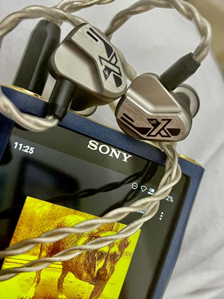 Vision Ears VE10 IEM review: natural and analog sound