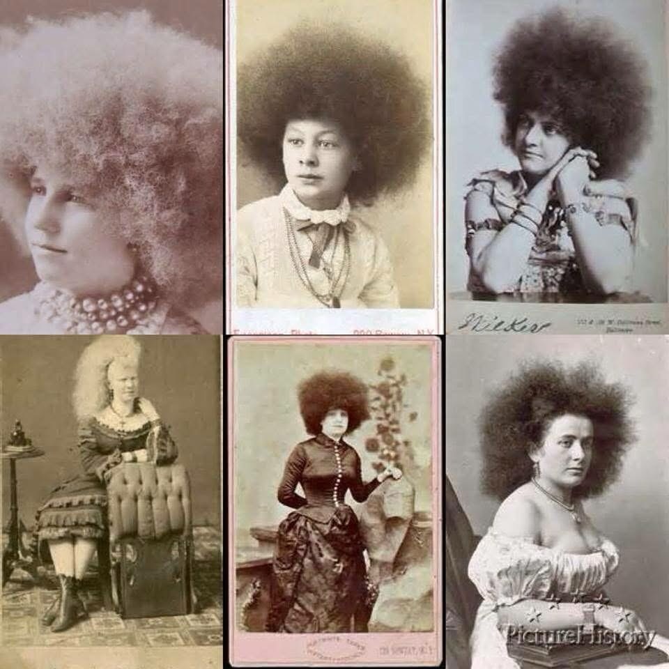 Jermaine - Circassian beauties, or “Moss-haired Girls” as they were ...