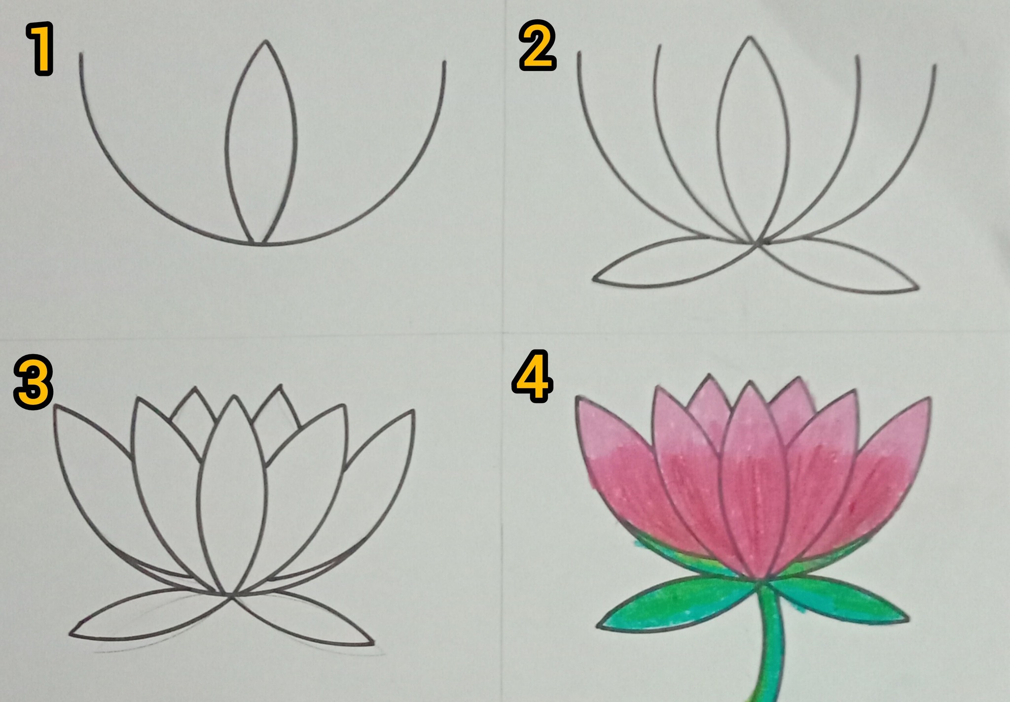DIY Crafts Paper USA | To draw a lotus flower using a protector (or ...