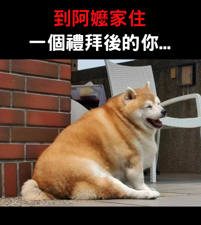 Looker 新鮮事 有種餓是阿嬤覺得你餓 去阿嬤家餐餐吃到飽 根本被當豬在養 Facebook