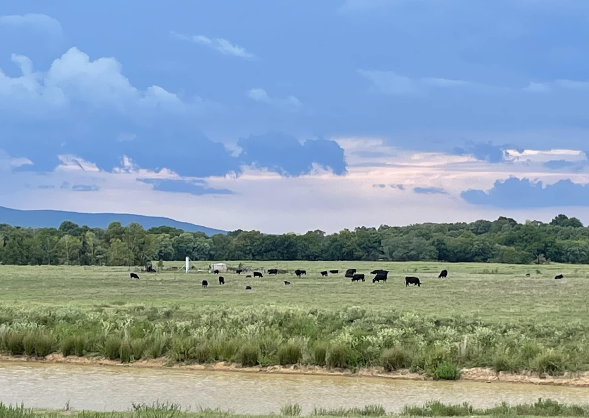Wann Ranch
