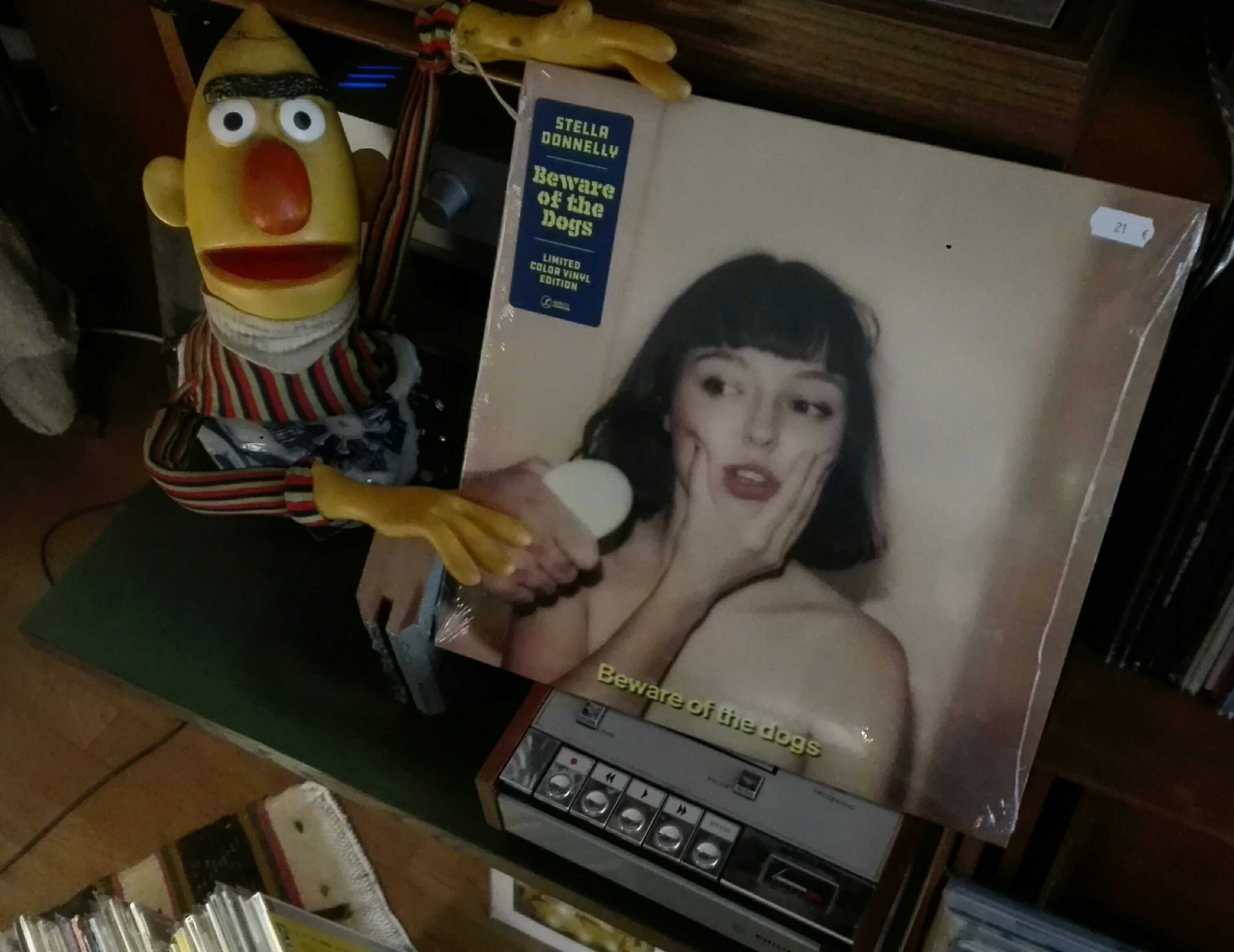 Happy 7th Anniversary to Stella Donnelly's masterpiece, Beware of