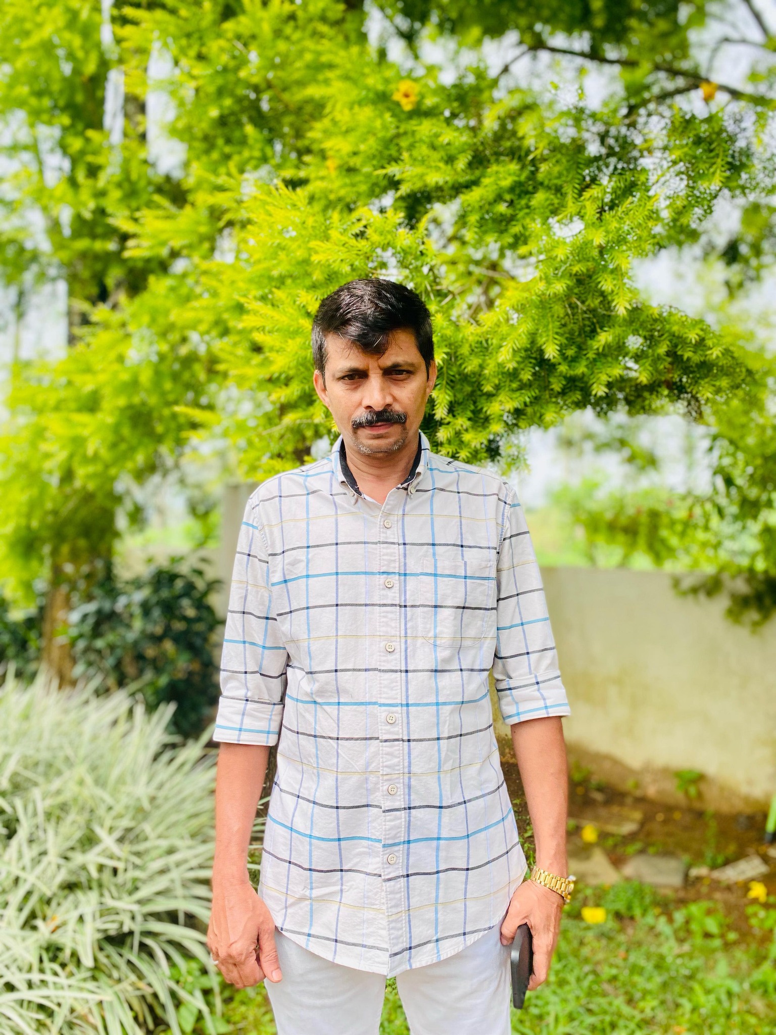 Ali Mp