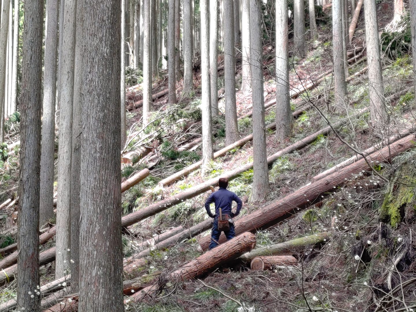 株式会社山田林業 山師たるもの 山の過去 現在 未来を熱く語りあえてなんぼ そんなことを思わせてくれる仲間が山田林業にはいます 作業員 衣笠 Facebook