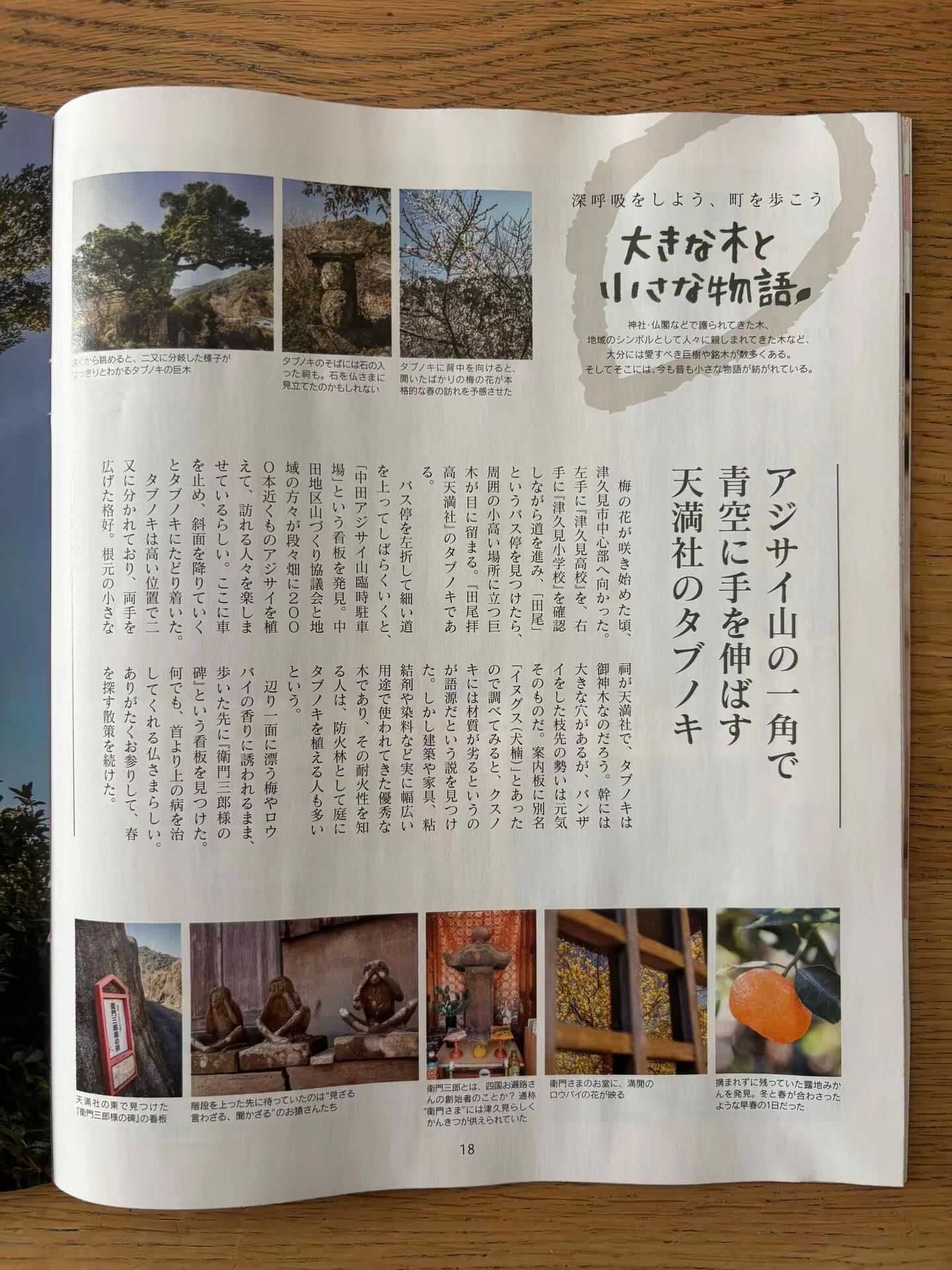 モグモグ2026年4月号「大きな木と小さな物語」で津久見市が紹介され 