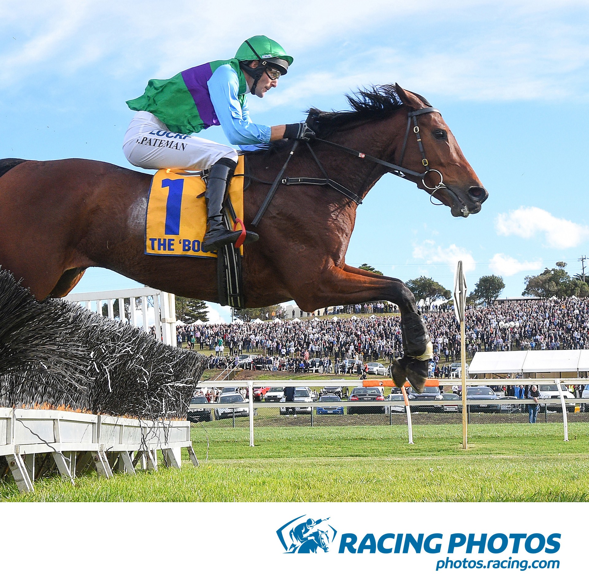 AJRA -... - AJRA - Australian Jumping Racing Association