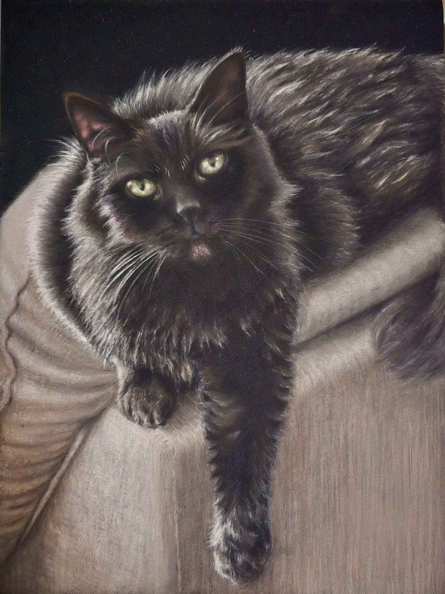 Cat with candlelight