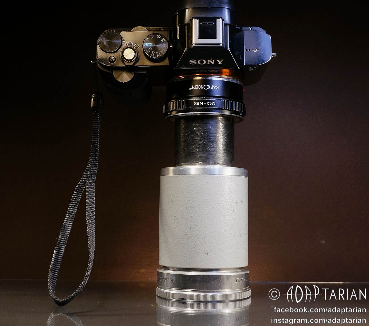 Adapted Leitz Elmaron 150mm f2.8 lens for bokeh
