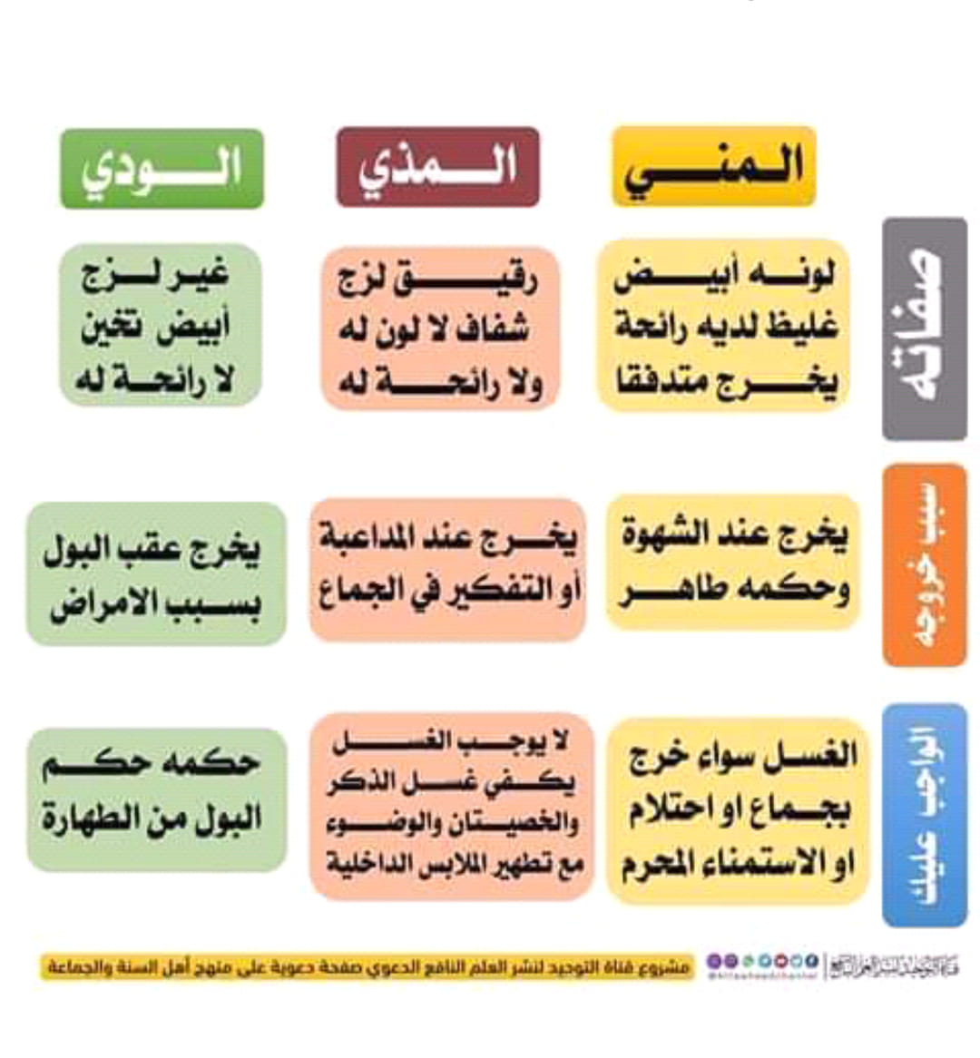 الأطفال إعادة التأكيد بدلة المذي في الملابس الداخلية Ferienwohnung Woelfel Com