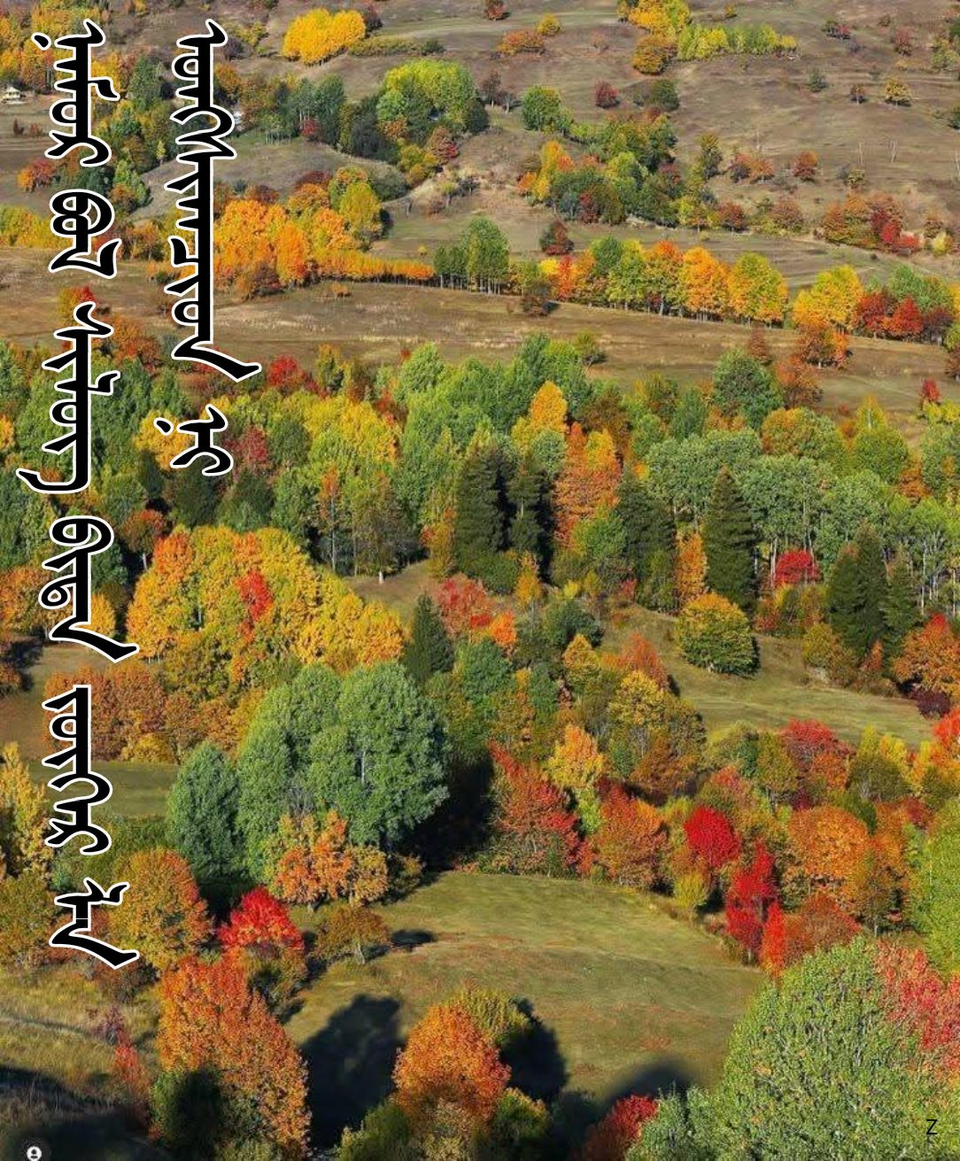 Монгол бичиг - ᠮᠣᠩᠭᠣᠯ ᠪᠢᠴᠢᠭ - Mongol bichig | ᠪᠢᠴᠢᠪᠦᠷᠢ ᠳ᠋ᠤᠭᠠᠷ 81 2025: ...