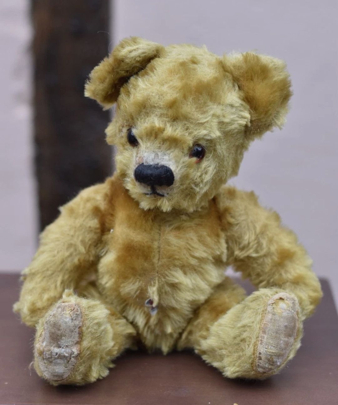 Alpha Farnell teddy bear from the forties