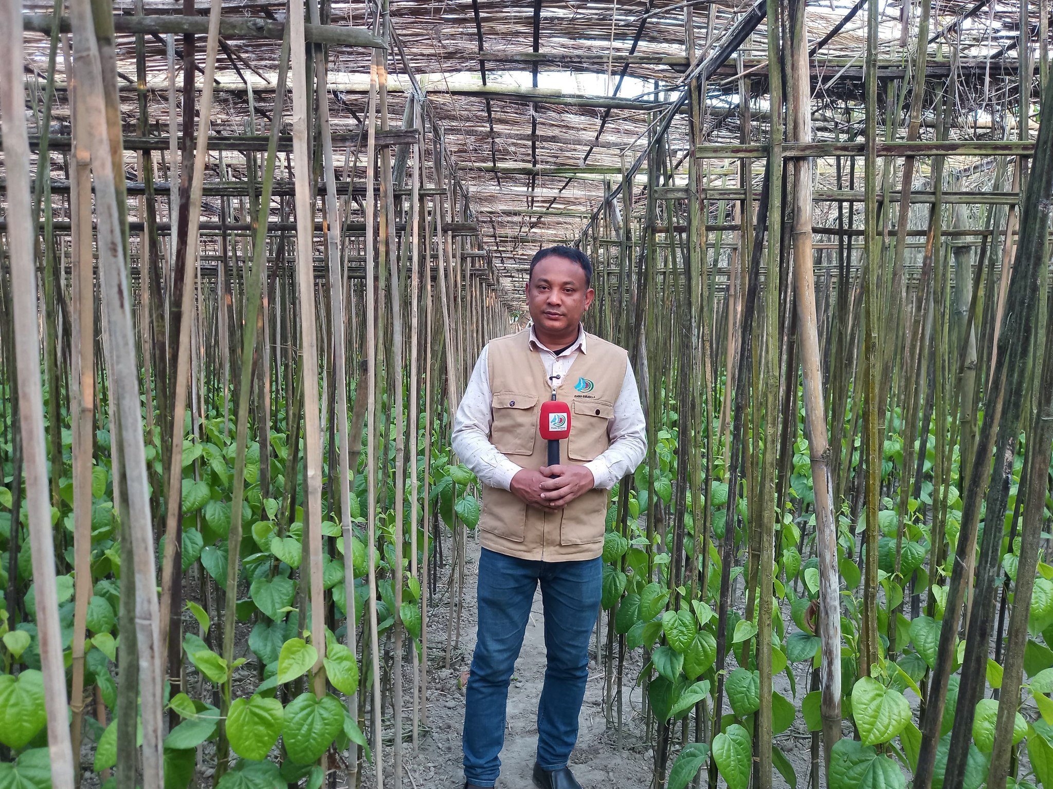 Krishna Komol Barman