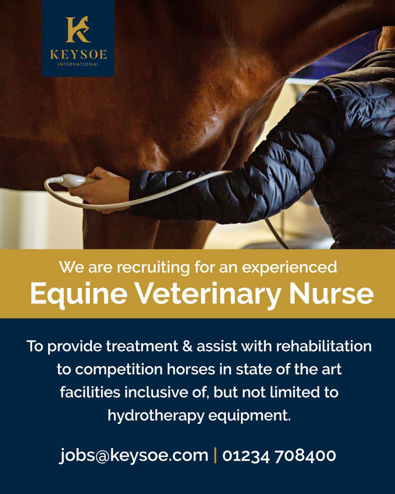 Equestrian Jobs Worldwide | Looking for a groom to join our team ...