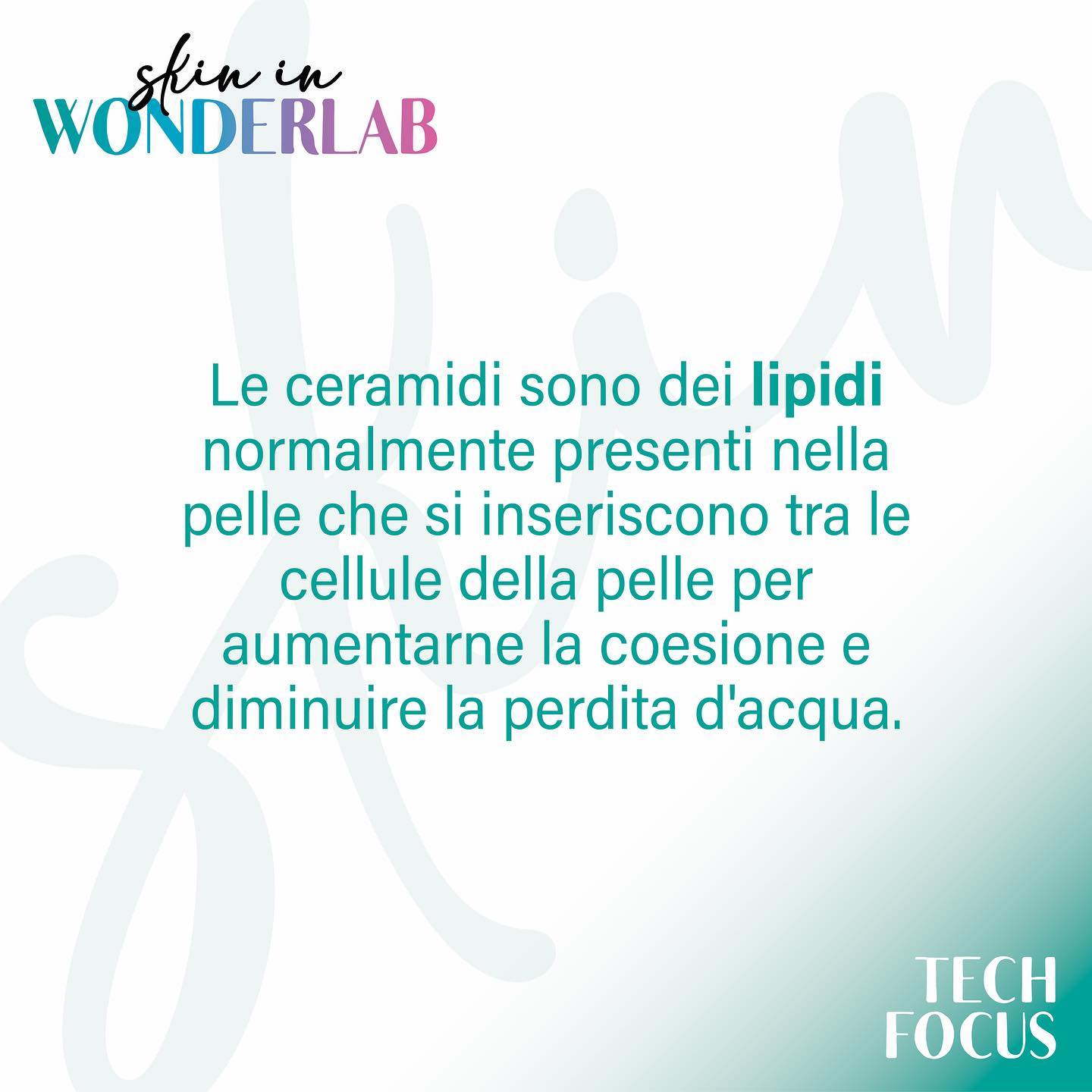 Skin in Wonderlab