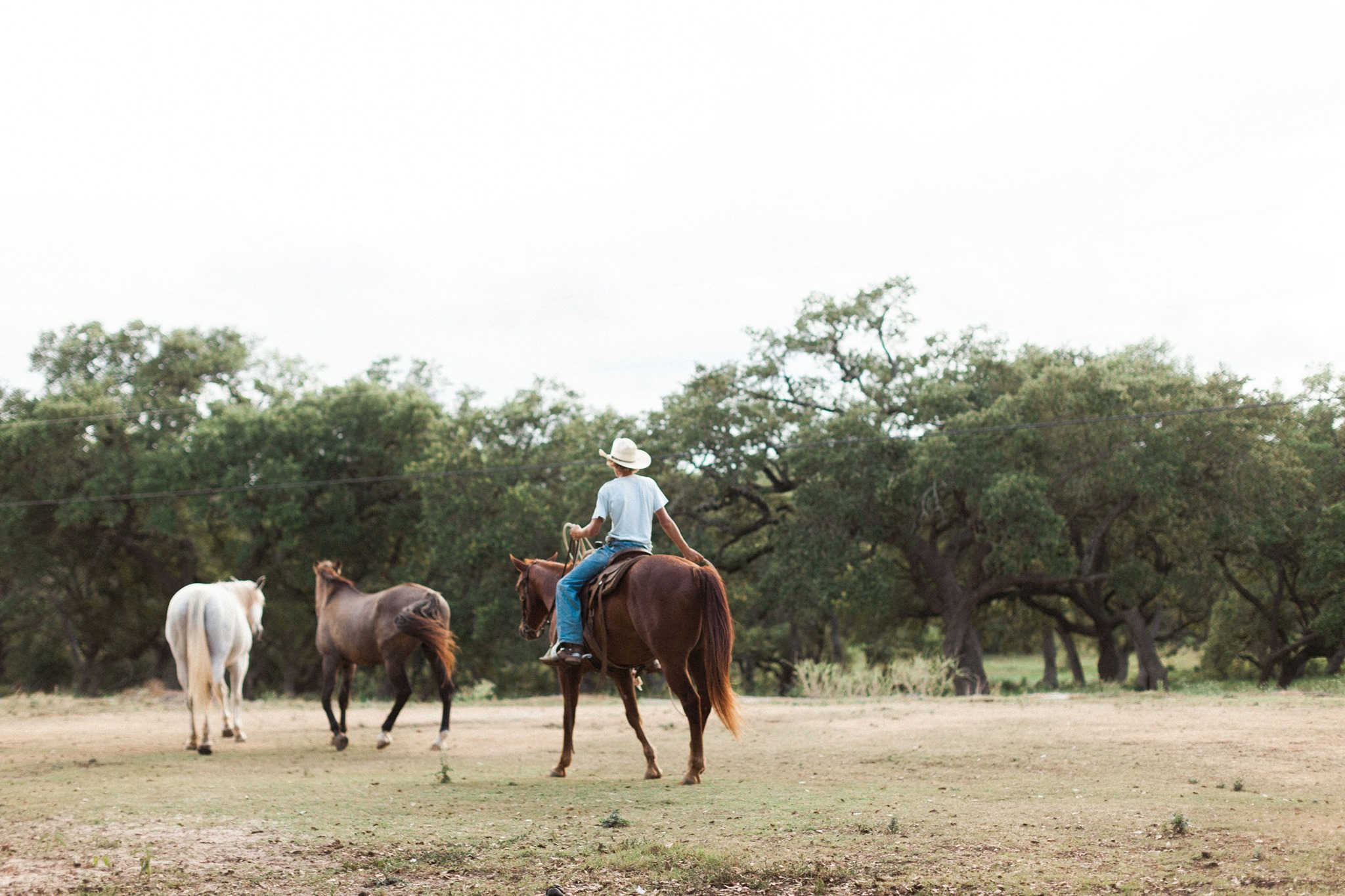 Hollow Tree Ranch | New Braunfels TX