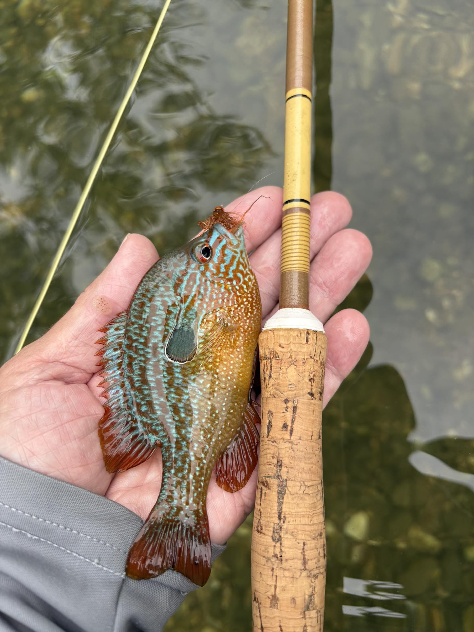 8 foot baitcasting rods Okuma Ceymar Fishing 7Ft Rod Wight 3. 5-17gms 8-17 lb Best Baitcasting Rod – Fish With Hanish Tackles This is a 68 Color:Disco Shad RPOSI Garmin Gps Garmin Striker