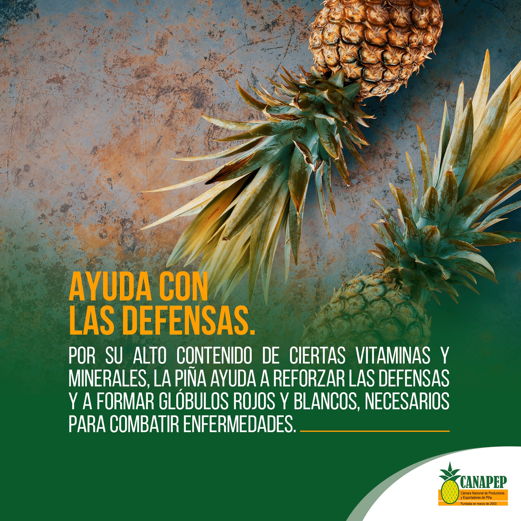 La... - Cámara Nacional de Productores y Exportadores de Piña | Facebook