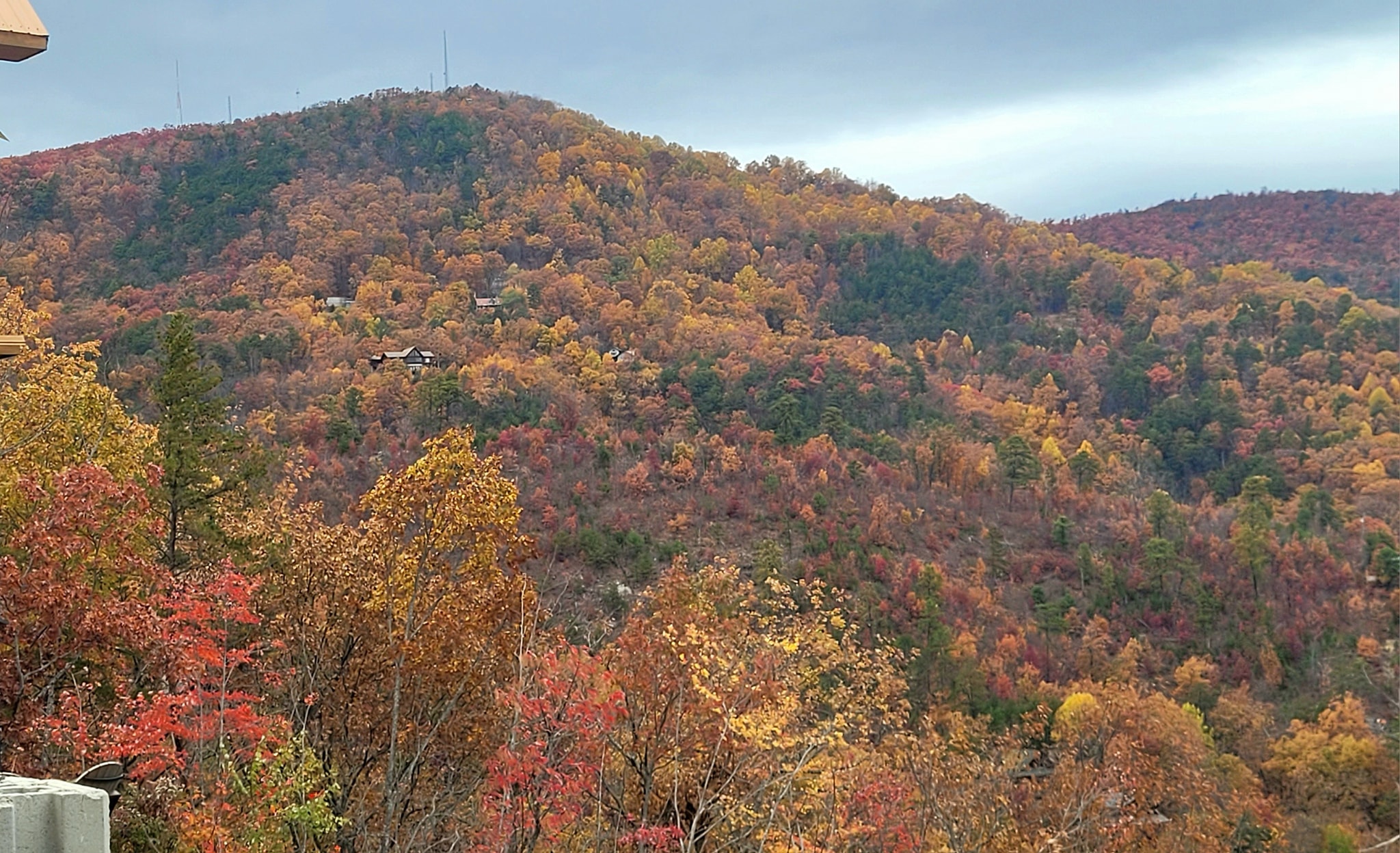 The view from my window | Fall Foliage in East Tennessee | Facebook