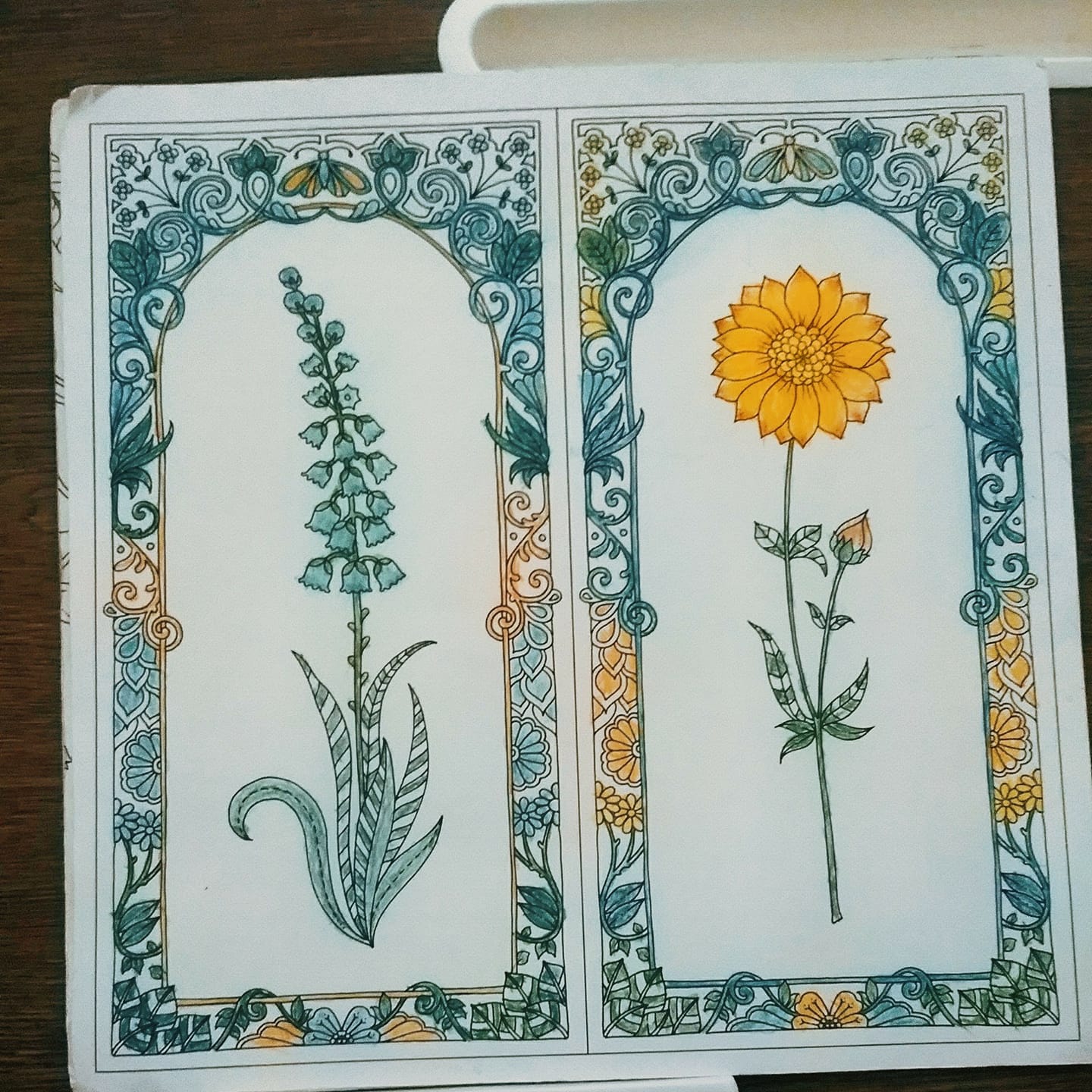 Johanna Basford's World of Flowers with Prismacolor and gold pencils