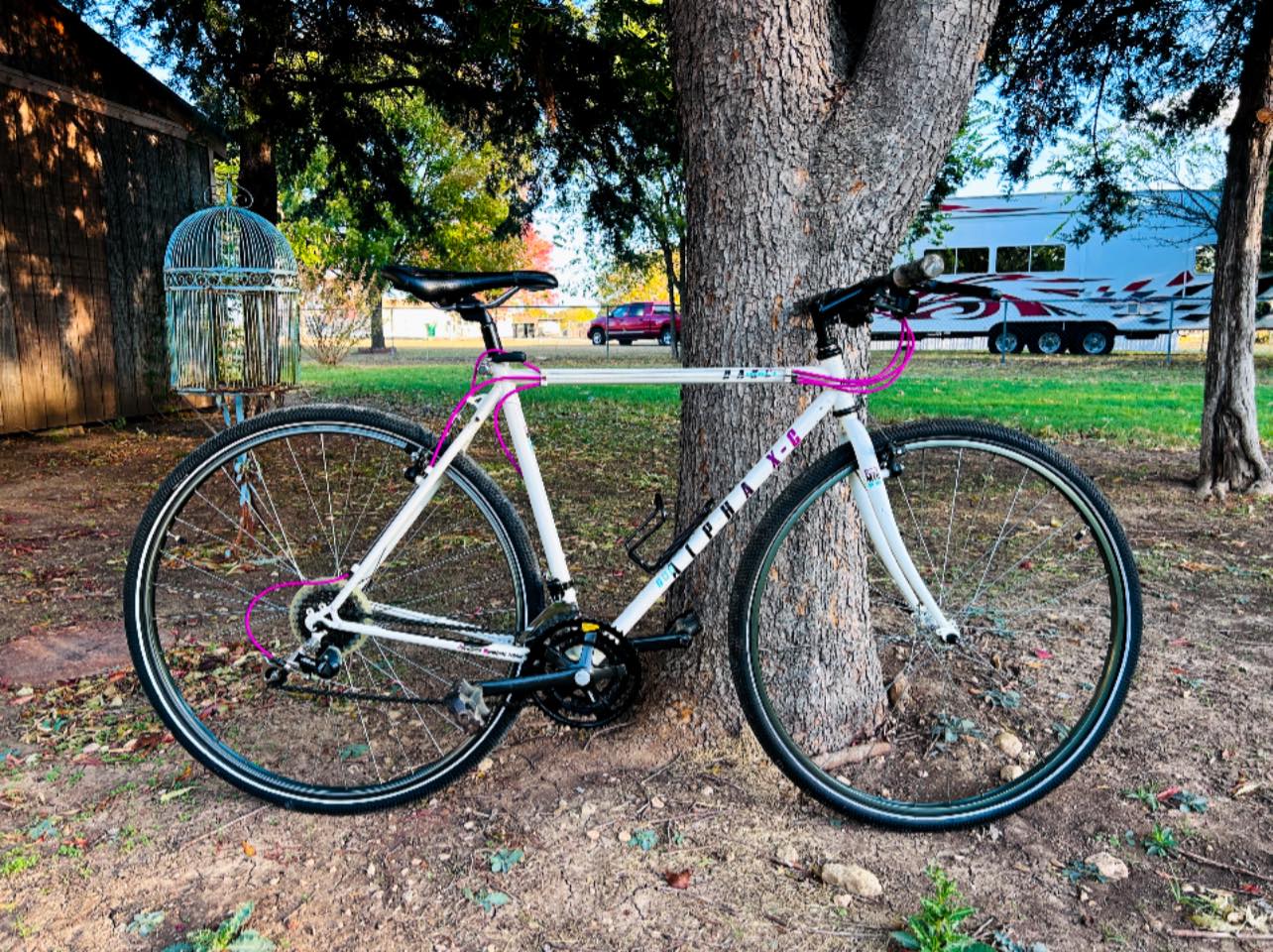 90’s vintage purple color double setup 1990 cafe cruiser bicycle with teal and purple color scheme