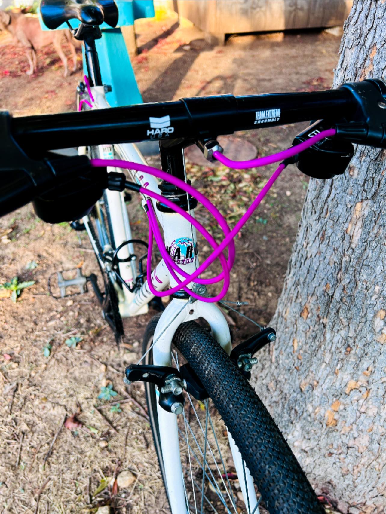 1990 cafe cruiser bicycle with teal and purple color scheme