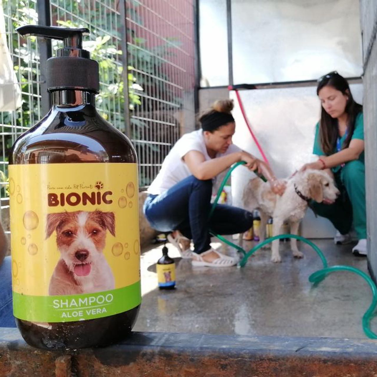 Bionic Pet | Santiago