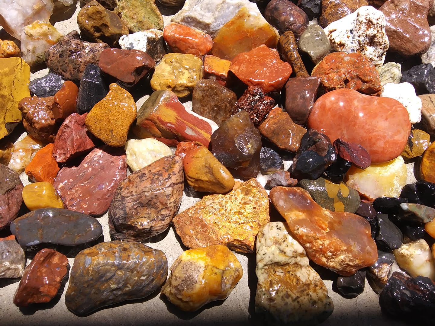 What are gold rocks with colorful accents in New Mexico?
