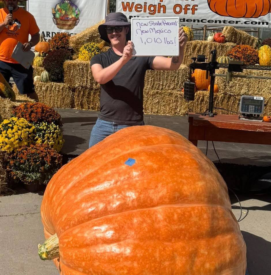 Got big quick #giantpumpkin #gardening | Allen Clark