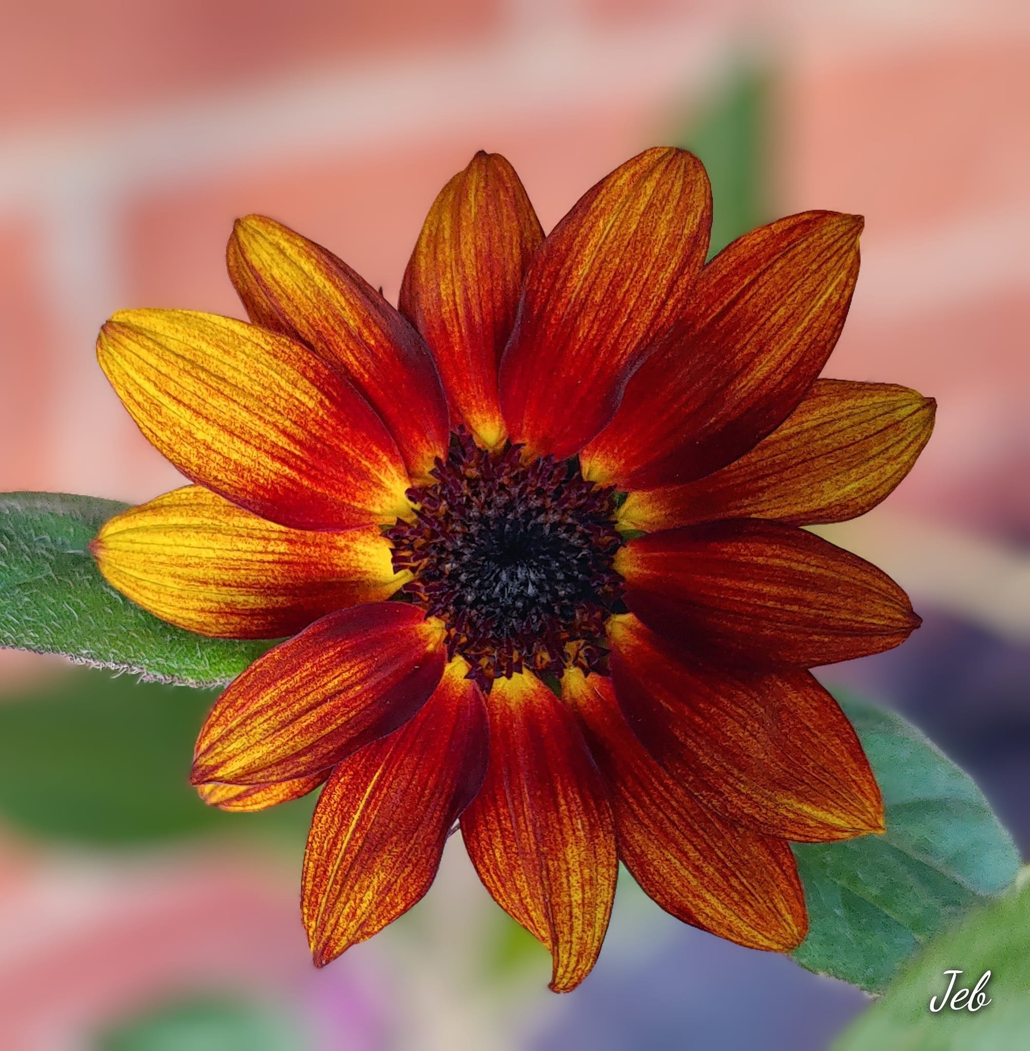 What are favorite sunflower varieties for bouquets with smaller heads?