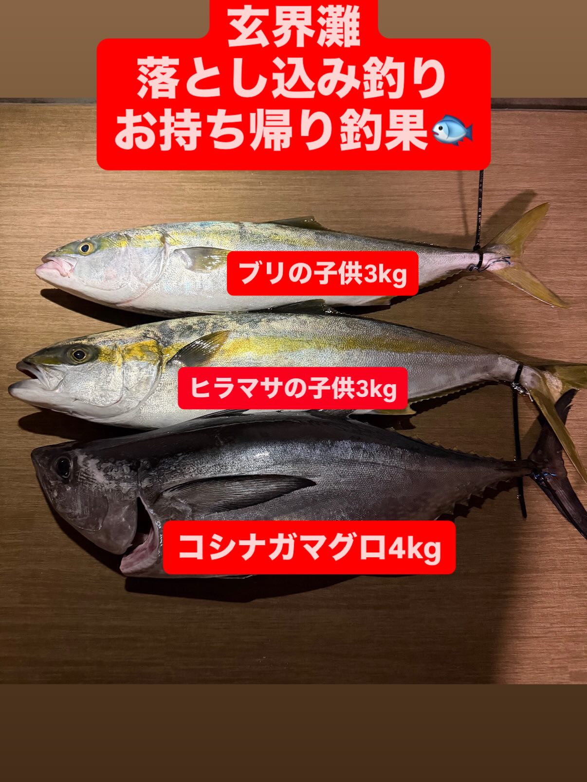 17000円から値下げ船の鯛やヒラマサ キャスティングヒラマサ釣行で船中