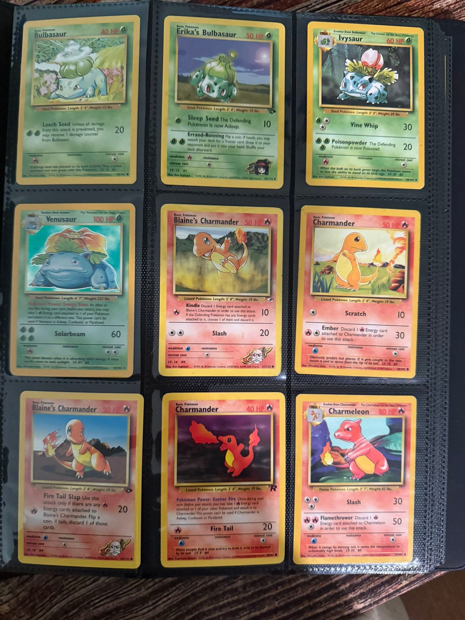 pornstar pokemon cards Custom Holographic Full Art Skyla Card – PokeOricaSTCG