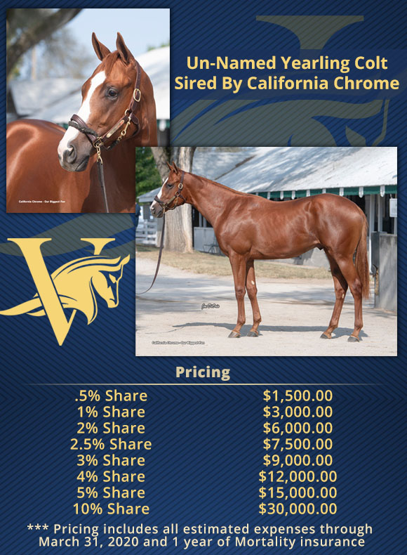 New Affordable Micro Shares As... - Victory Racing Partners | Facebook