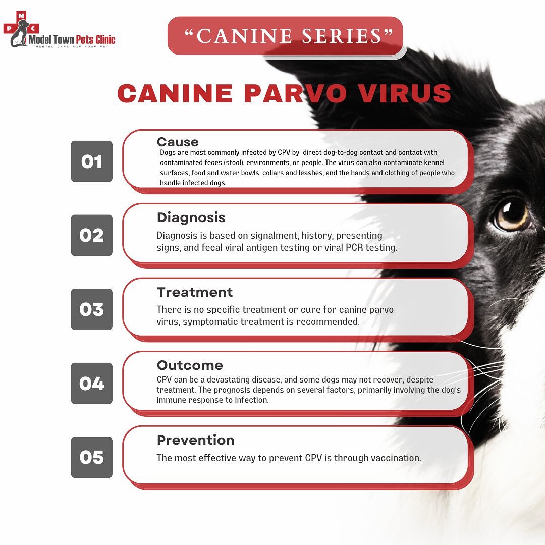 Model - ️We have started a Client Awareness Campaign about deadly Viral ...